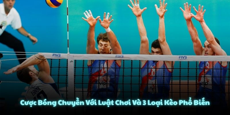 Cược Bóng Chuyền Với Luật Chơi Và 3 Loại Kèo Phổ Biến