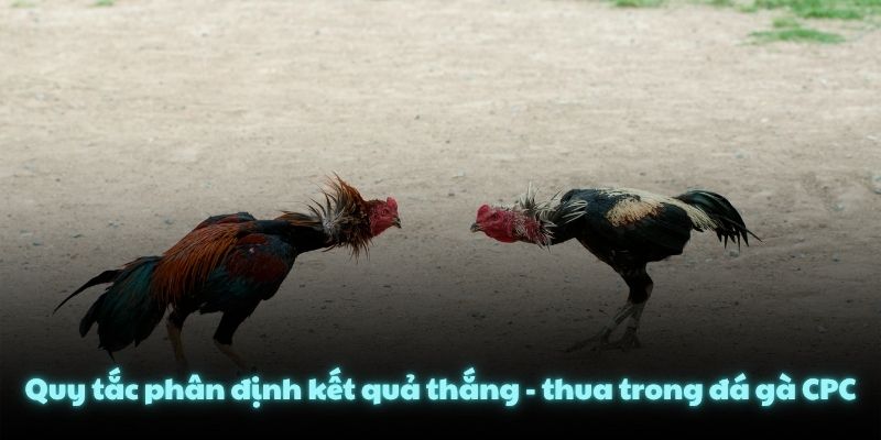 Quy tắc phân định kết quả thắng - thua trong đá gà CPC